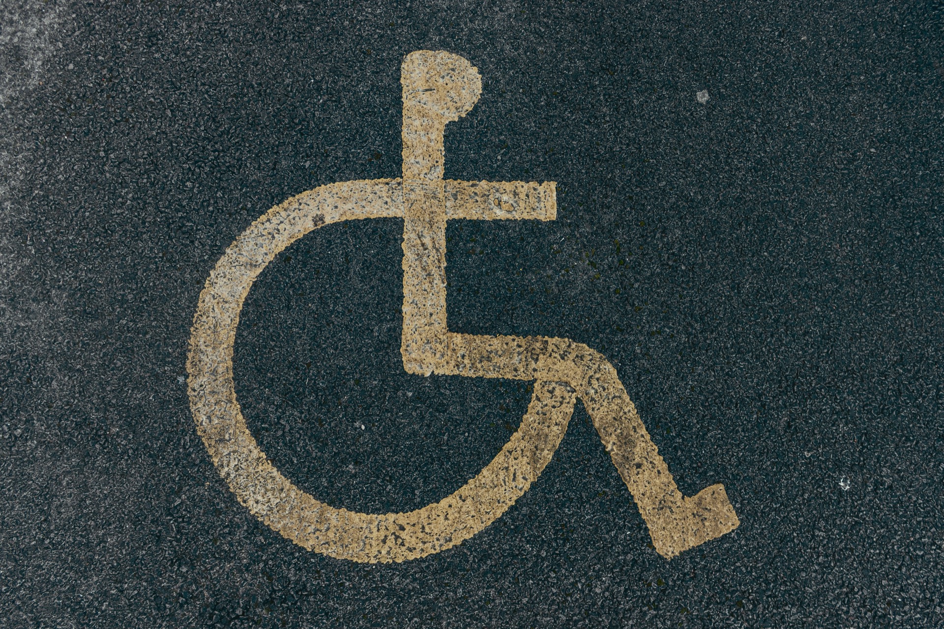 Mezzo attrezzato Easy Project per il trasporto accessibile in carrozzina a Belluno